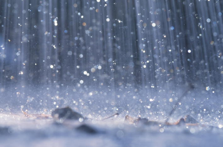 秋の雨は、梅雨よりやっかいです——「今日はいけるかも」で干して、3日で72点たまる話